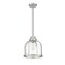 Z-Lite Burren 1 Light Pendant, Brushed Nickel And Clear Seedy 337P12BN - alternate 3